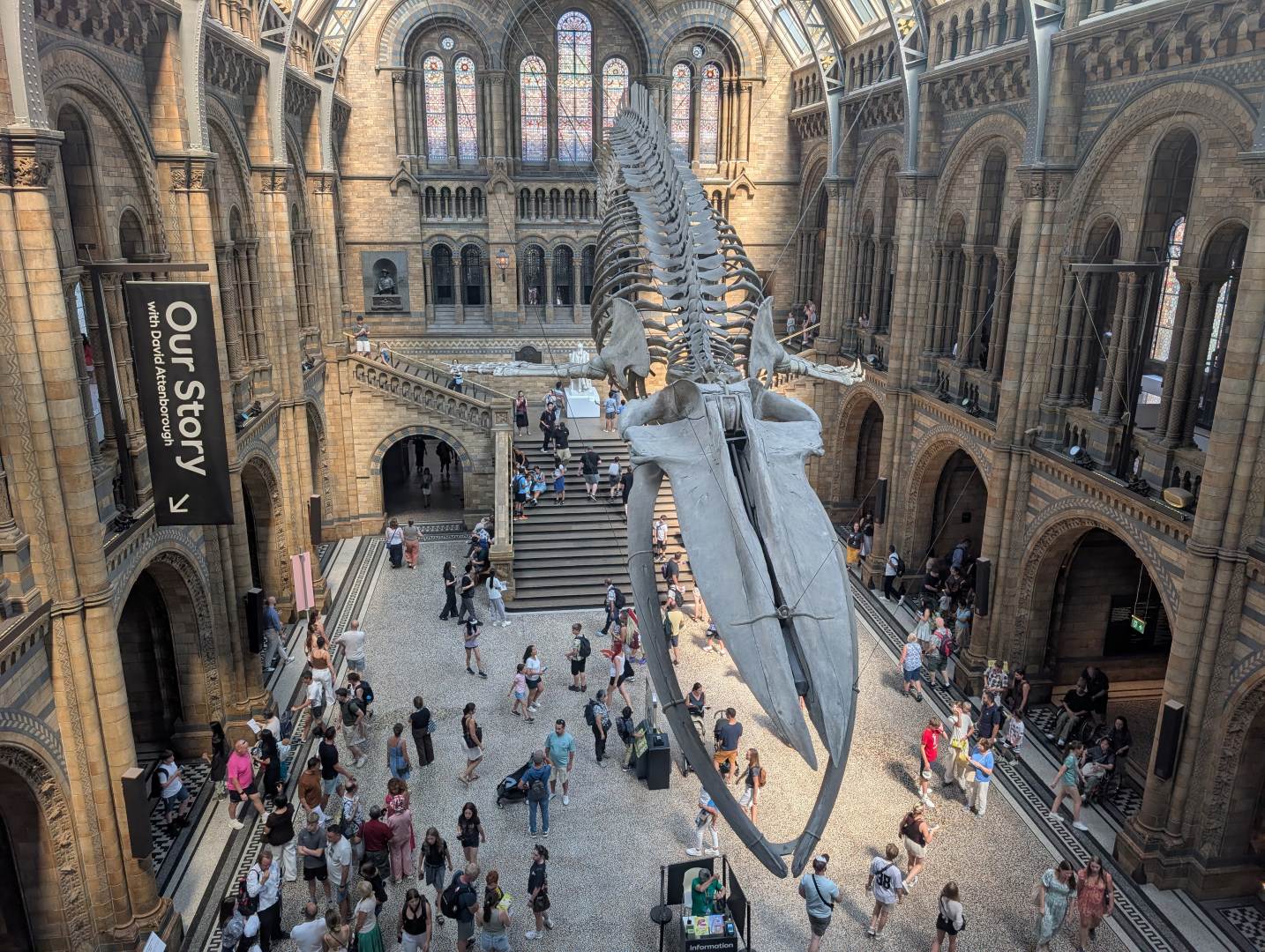 Inside the natural history museum